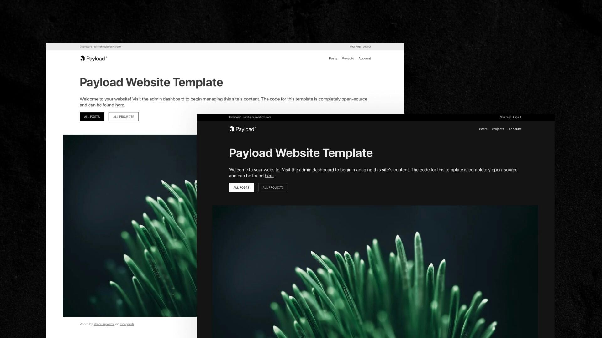 Website Template from Payload