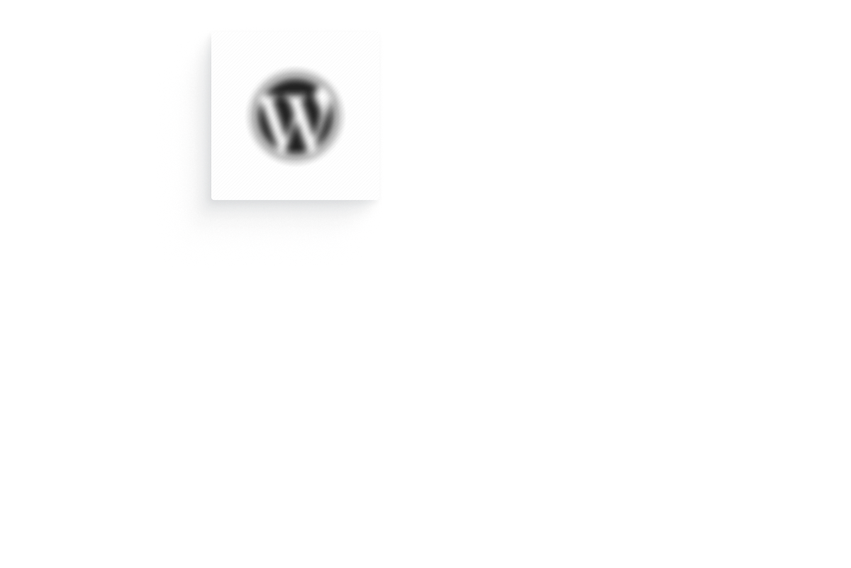 wordpress logo is left in the blurry void
