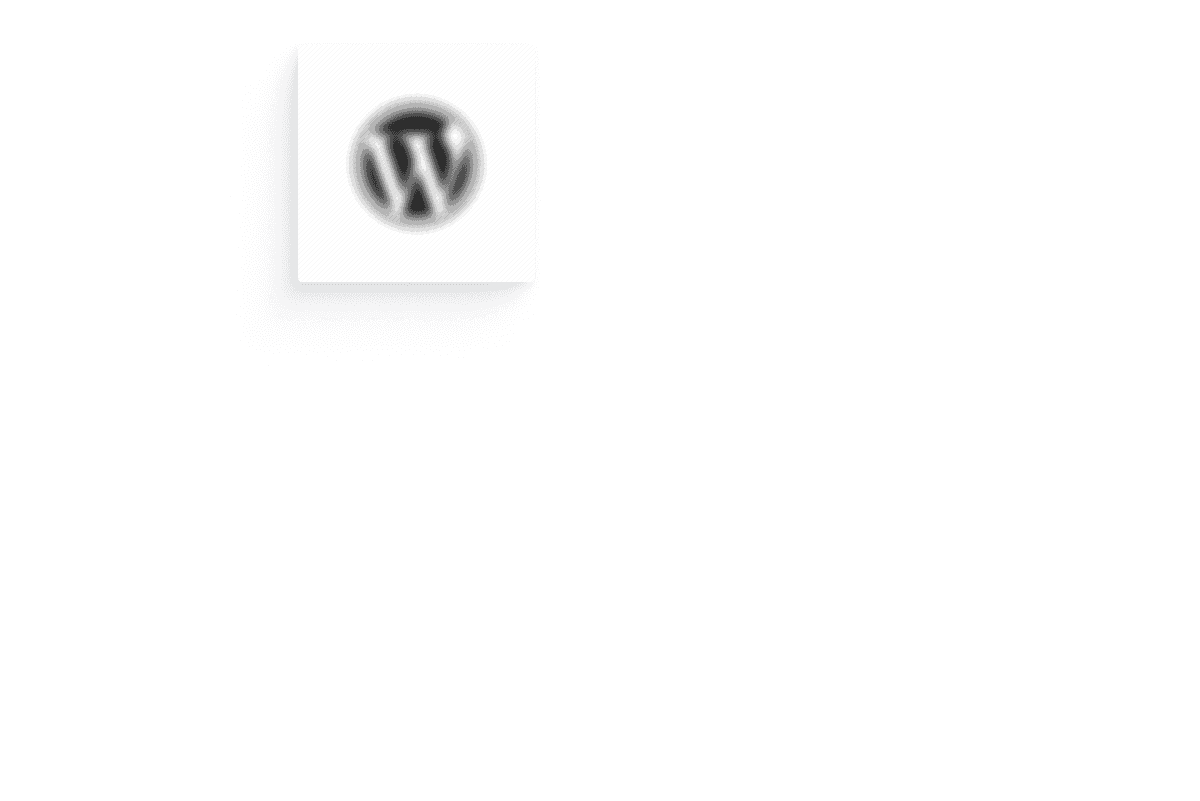 wordpress logo is left in the blurry void